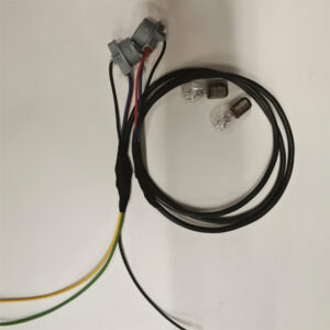 Rückleuchtenmodul SLK R170