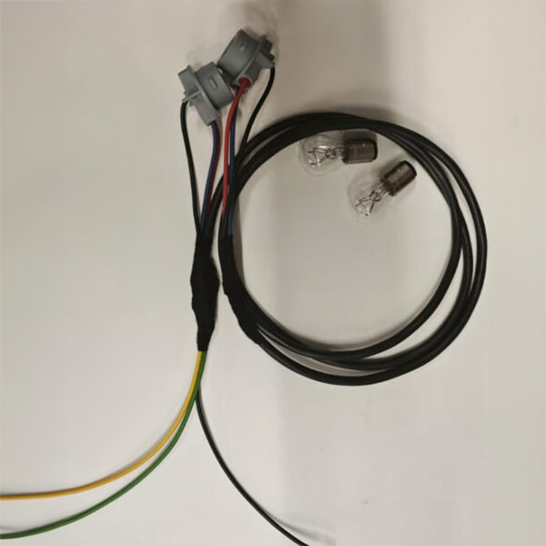 Rückleuchtenmodul SLK R170