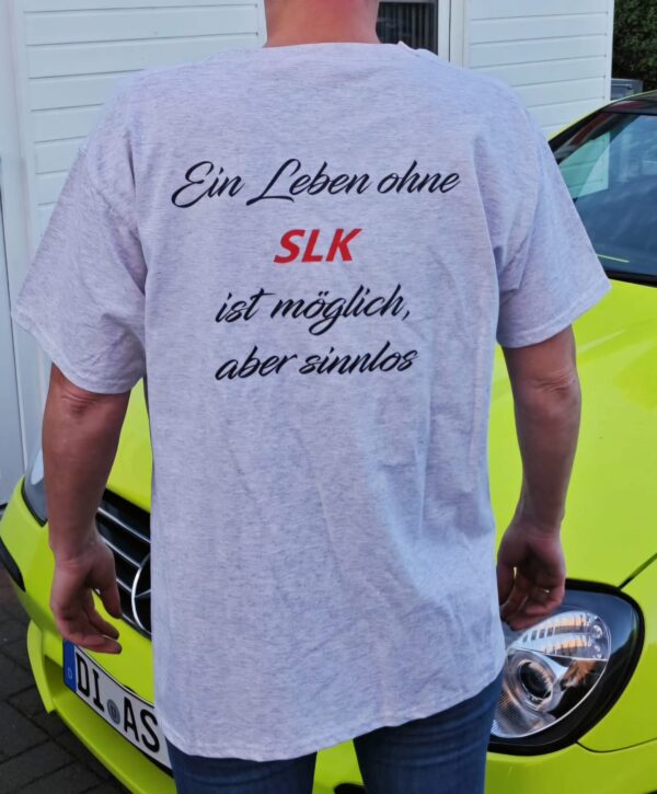 dias performance shirt ash hinten